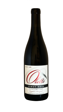 Olet'te Pinot Noir Petaluma Gap